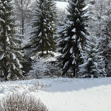 Zum Alpenreichapartment